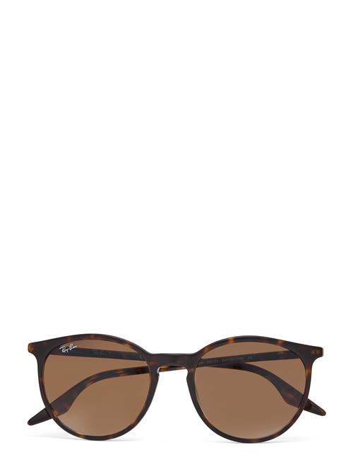 0Rb2204 Ray-Ban Brown