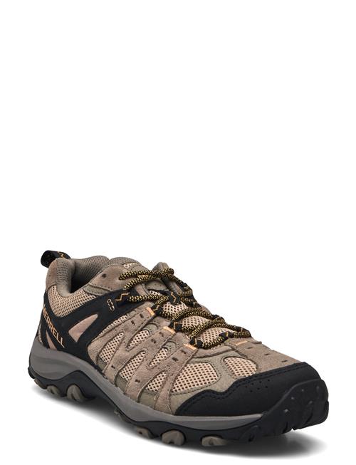 Men's Accentor 3 - Pecan Merrell Brown