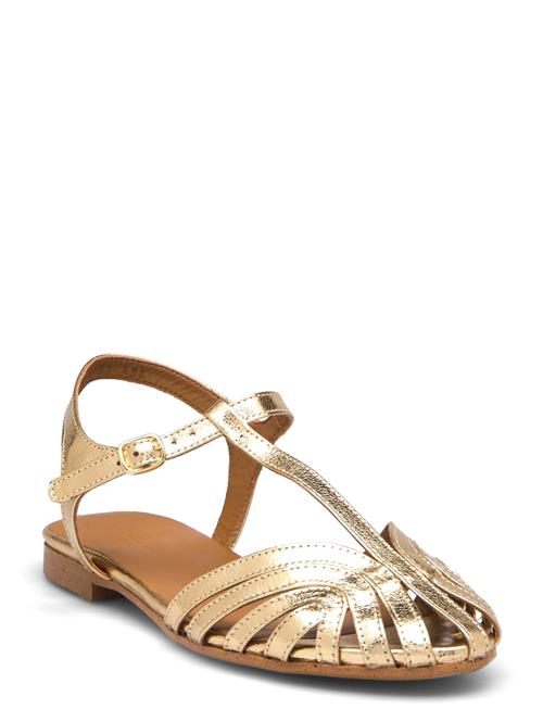 Sandals - Flat ANGULUS Gold