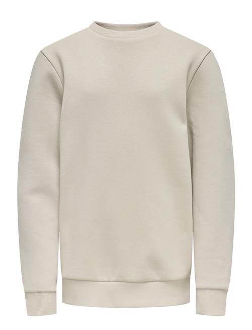 Osjceres Crew Neck Swt Noos ONLY & SONS Grey