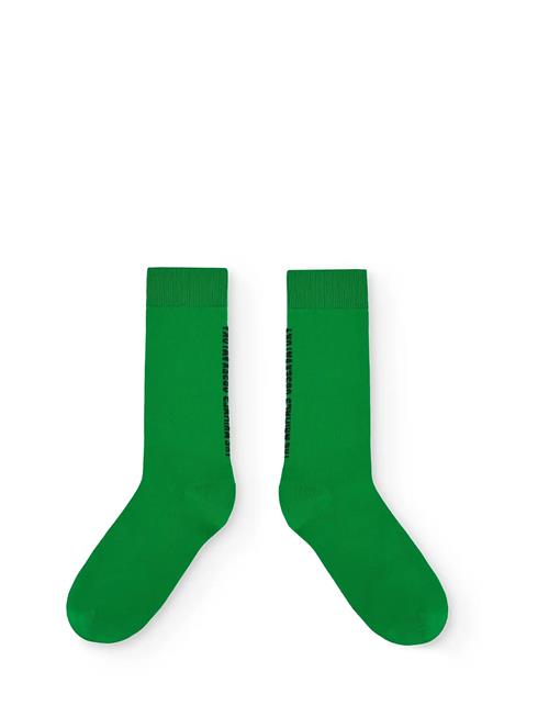 Snail Kid Socks Green THE ANIMALS OBSERVATORY Green