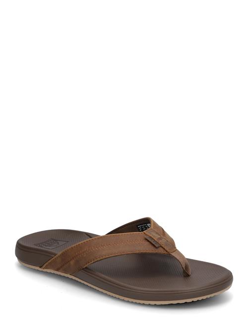 Cshn Phantom 2.0 Le REEF Brown