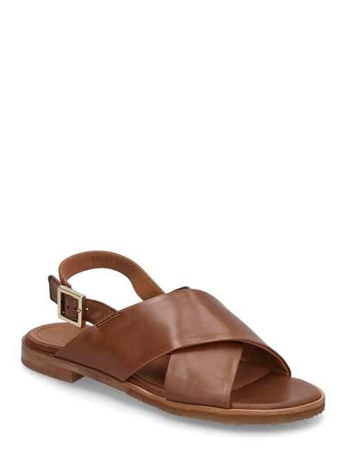 Sandals Billi Bi Brown