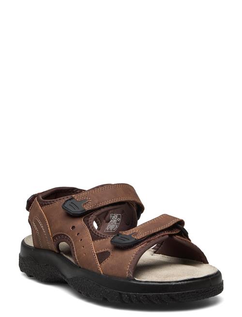 Loop Marstrand Sandal Brun 45 Marstrand Brown