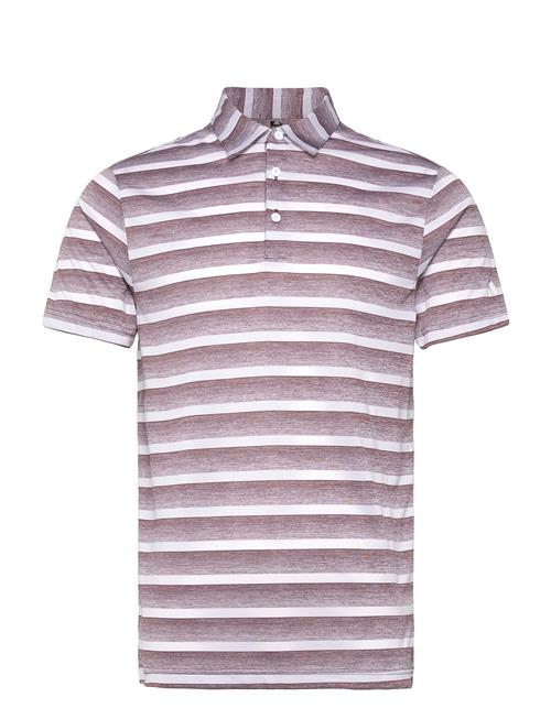2 Color Stripe Adidas Golf Purple