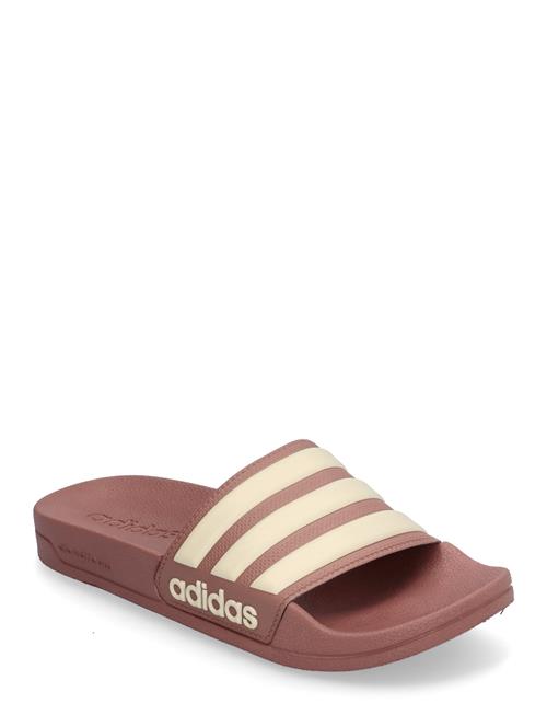 Adilette Shower Adidas Sportswear Burgundy