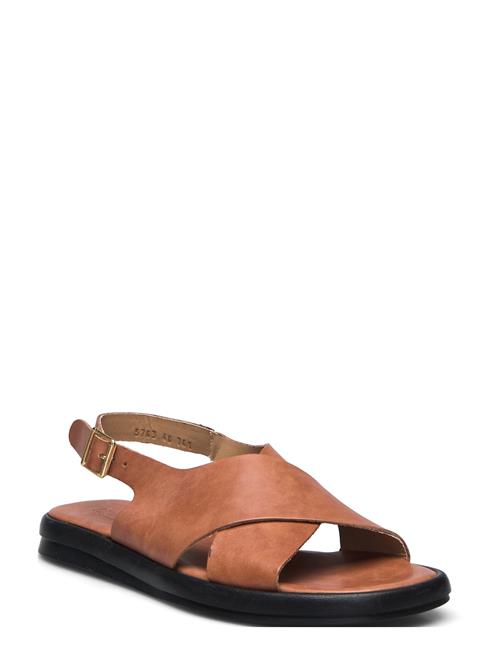 Sandals - Flat ANGULUS Brown