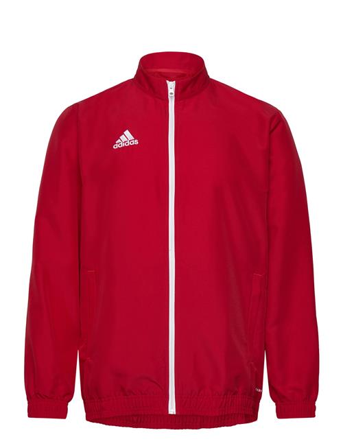 Ent22 Pre Jkt Adidas Performance Red
