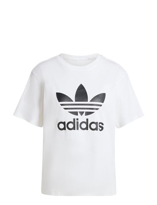 Trefoil Tee Adidas Originals White