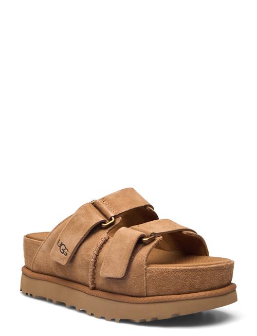 W Goldenstar Hi Slide UGG Brown