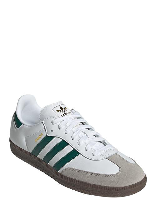 Samba Og Adidas Originals White