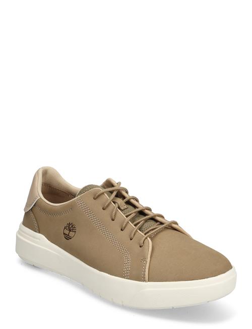 Low Lace Up Sneaker Timberland Beige