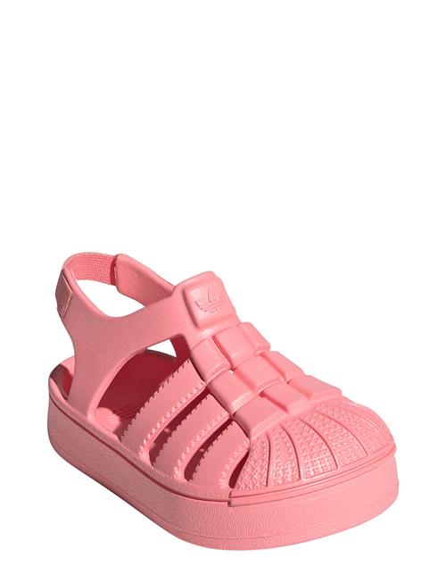 Superstar Sandal I Adidas Originals Pink