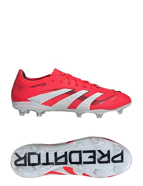 Predator Pro Fg Adidas Performance Red