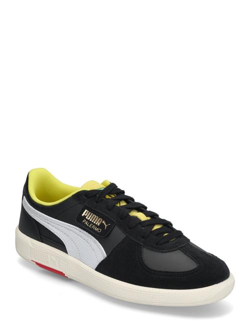 Ferrari Palermo PUMA Motorsport Black