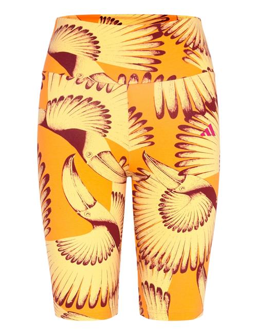 Farm Bike Short Adidas Sportswear Yellow