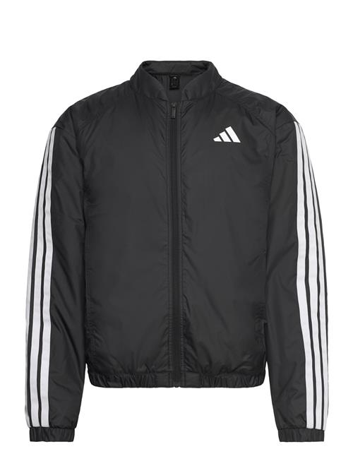 Ess 3S Ins B J Adidas Sportswear Black