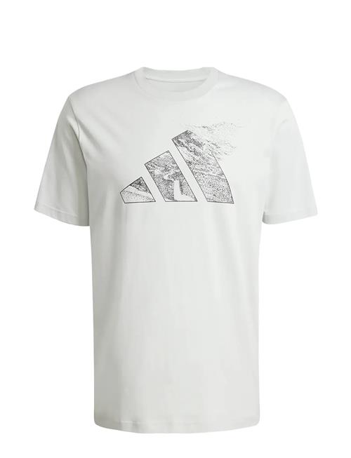 M T Ce Logo T Adidas Sportswear Green