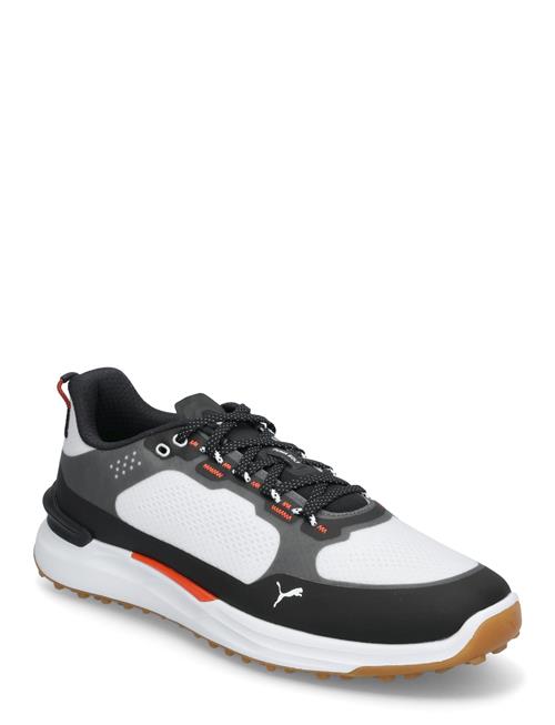 Ignite Elevate X PUMA Golf Black