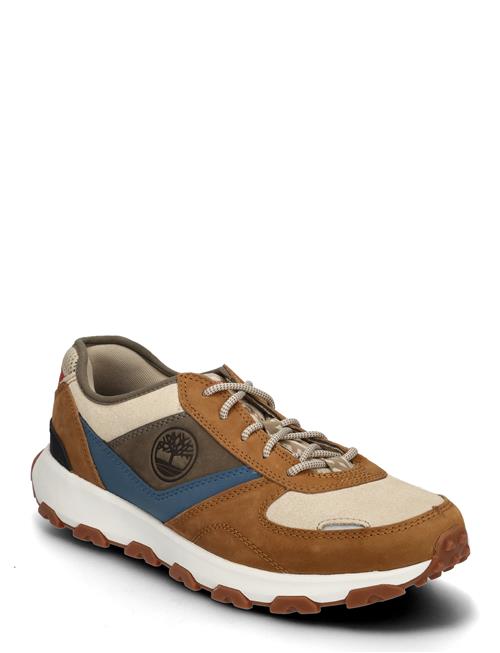 Low Lace Up Sneaker Timberland Brown