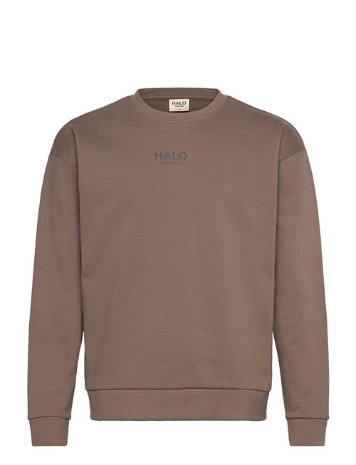 Halo Graphic Crew 01 HALO Brown