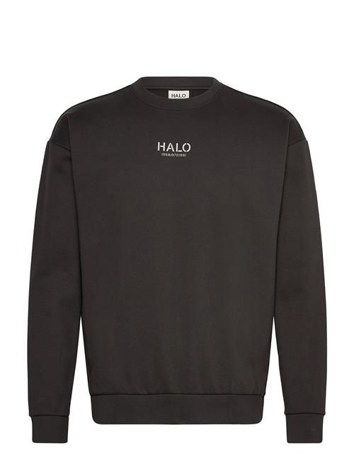 Halo Graphic Crew 02 HALO Black