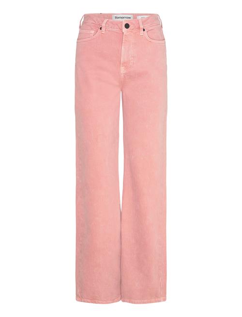 Trw-Brown Jeans Wash Antique Dye Tomorrow Pink