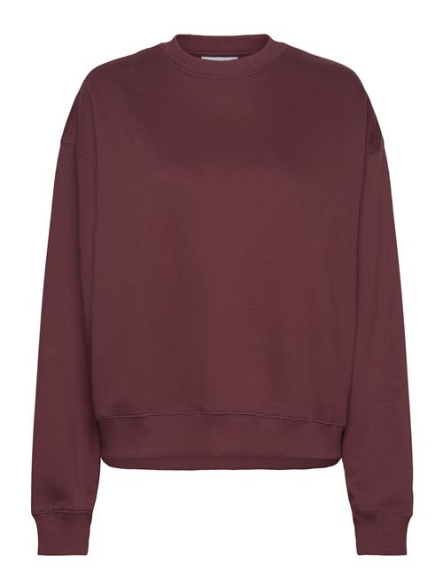 Standard Sweatshirt Weekday Burgundy