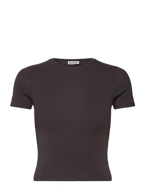 Slim Fitted T-Shirt Weekday Brown