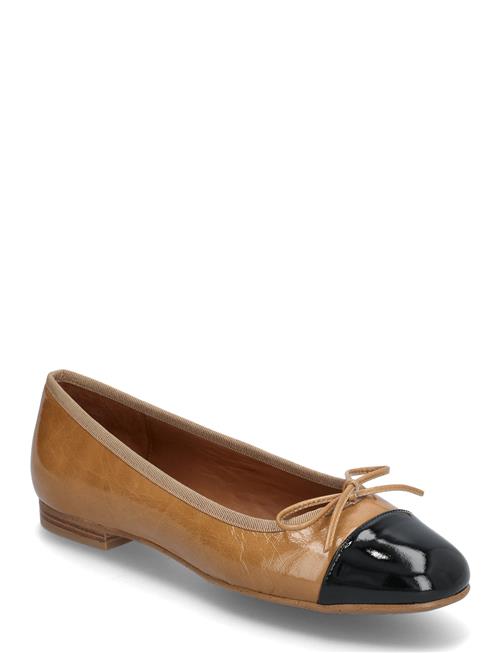 Ballerina Billi Bi Brown