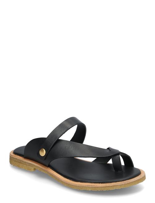 Trotter Billi Bi Black