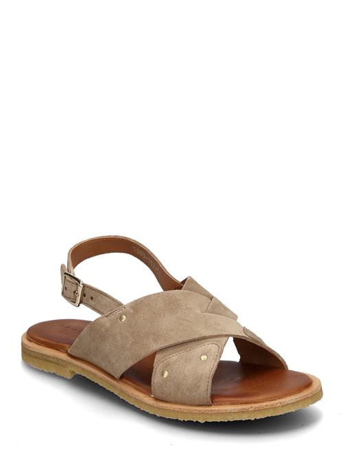 Trotter Billi Bi Brown