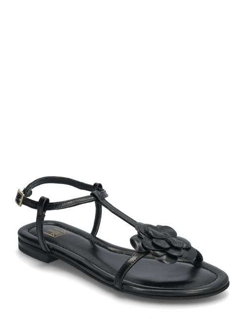 Sandals Billi Bi Black