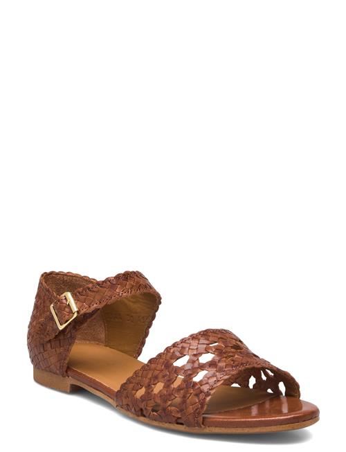 Sandals - Flat - Open Toe - Clo ANGULUS Brown
