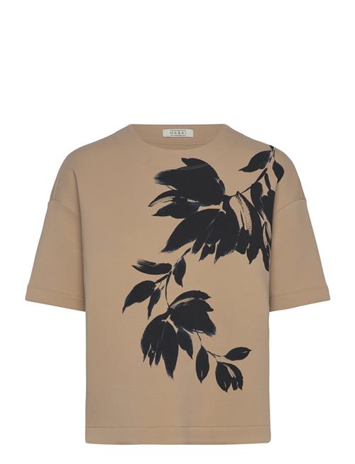 Madominan Masai Beige