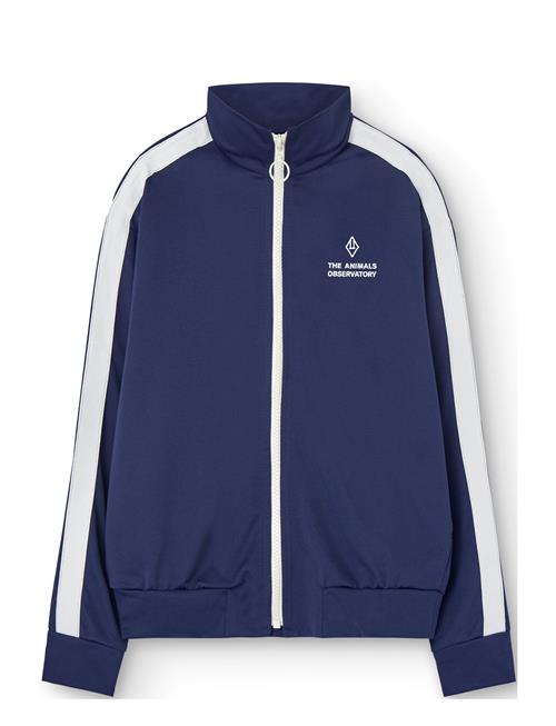Zebra Kid Track Jacket Deep Blue THE ANIMALS OBSERVATORY Blue