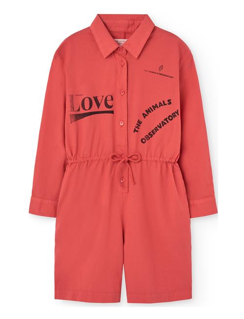 Squirrel Kid Short Jumpsuit Red THE ANIMALS OBSERVATORY Red