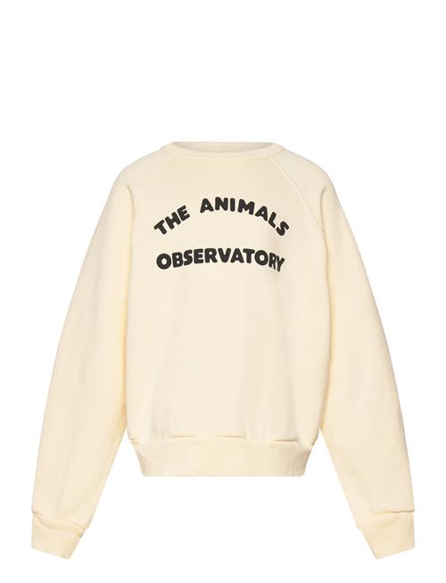 Shark Kid Sweatshirt White Logo THE ANIMALS OBSERVATORY Cream