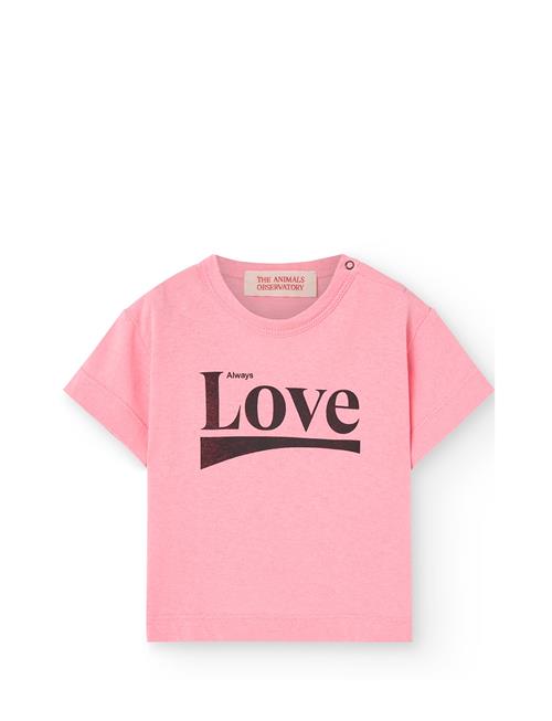 Pangolin Baby T-Shirt Pink THE ANIMALS OBSERVATORY Pink