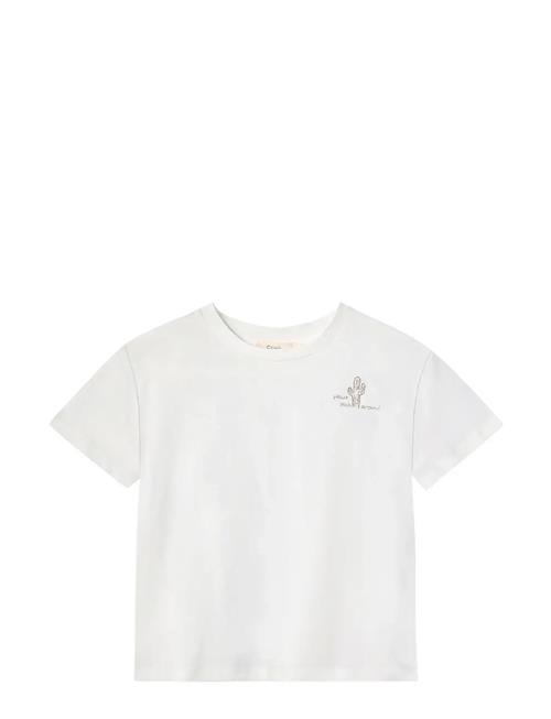 Sommer Cactus T-Shirt Fliink White
