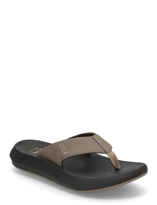 Swellsole Cruiser REEF Green