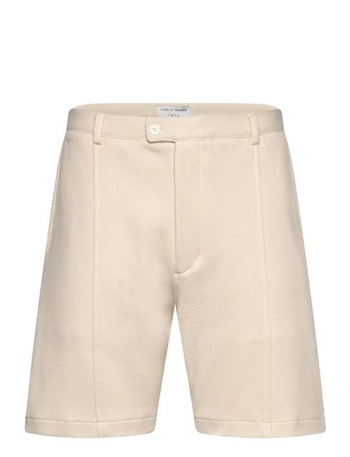 Paul Tiger Of Sweden Cream