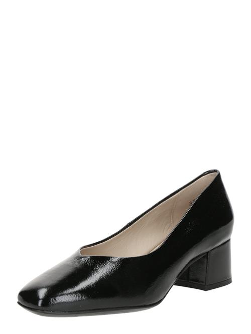 CAPRICE Pumps 'NINA'  sort