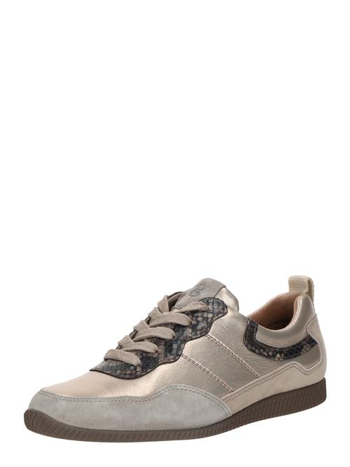 Paul Green Sneaker low  grå / sølvgrå