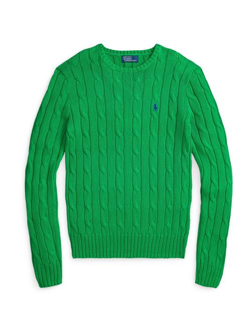Polo Ralph Lauren Pullover  navy / grøn