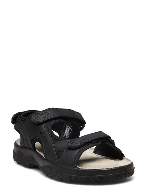 Loop Marstrand Sandal Brun 40 Marstrand Black