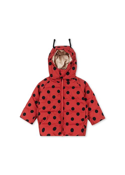 Konges Sløjd Nuka Ladybug Puffer-jakke Lady Dot  Nuka Ladybug Jacket Grs Lady Dot 12 months  Rød  12 måneder  kvinde