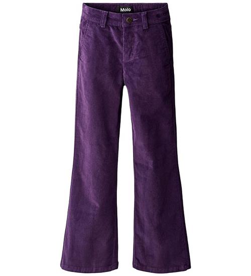 Molo Bukser - Fløjl - Aida - Space Purple