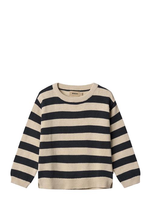 Knit Pullover Morgan Wheat Beige