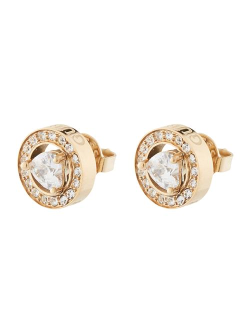 GUESS Øreringe  guld / transparent